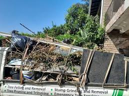 Best Property Management Cleanouts  in South Alamo, TX