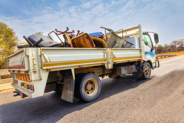 Best Basement Cleanout  in South Alamo, TX